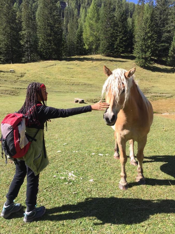 Attico Vista Tofane Apartment Cortina d'Ampezzo